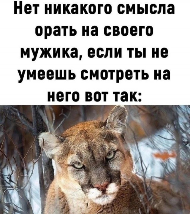 Всего понемногу. От 15.12.23