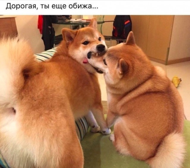 Пятничные картинки 19.01.2024