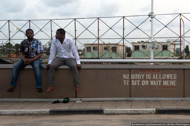 Только крокодилы спасут эту страну от мудаков!