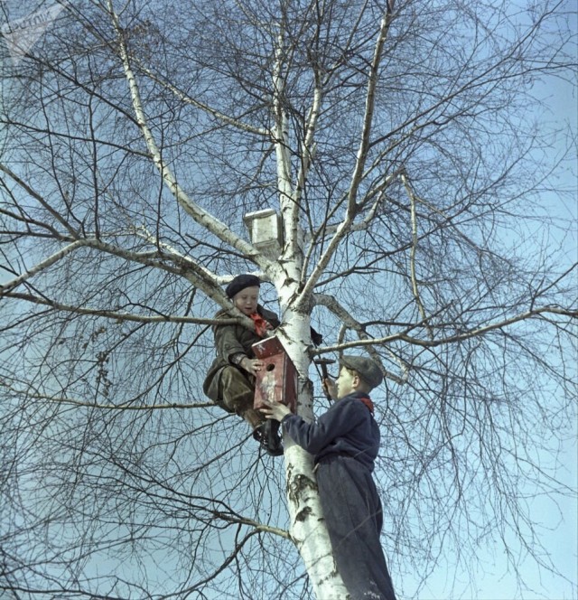 Back in USSR (22.07)