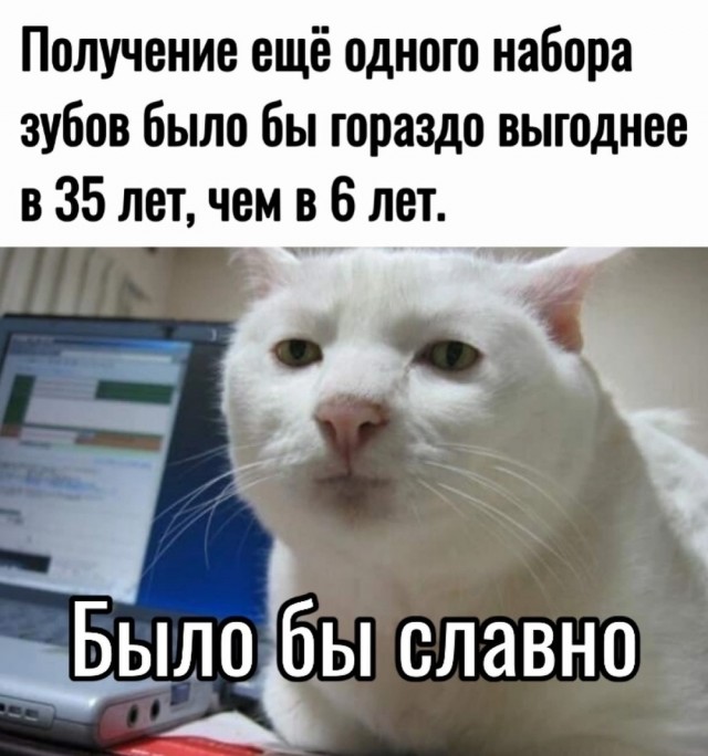 Завалялось тут случайно немного забавных картинок