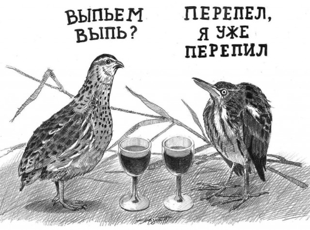 Так себе картинки 12.01.25