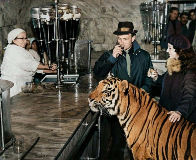 Интересные снимки известных людей 03.03.25