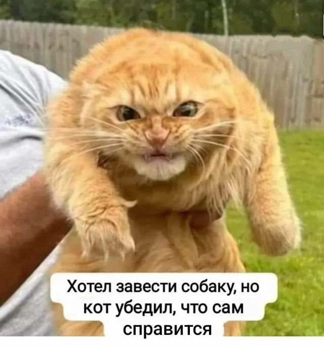 From the archives. Часть первая.