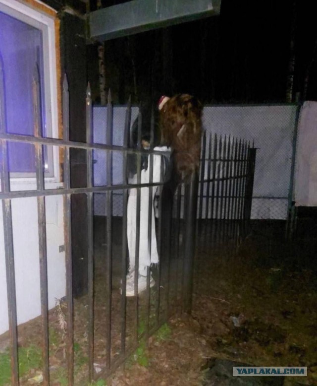 Молодой человек недавно погибшей 18-летней Надежды В. обратился к народу