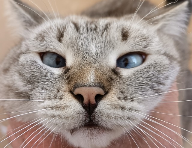 Пока вторник не закончился))