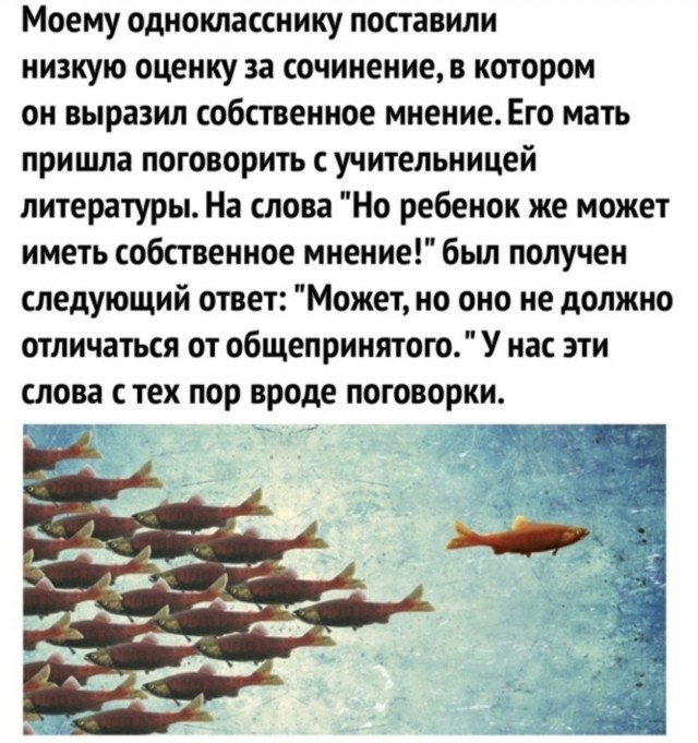 Веселые картинки в пятницу (11.07)