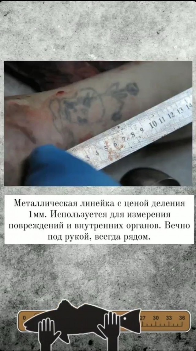 Инструменты и профессия. Судмедэксперт. Патанатом