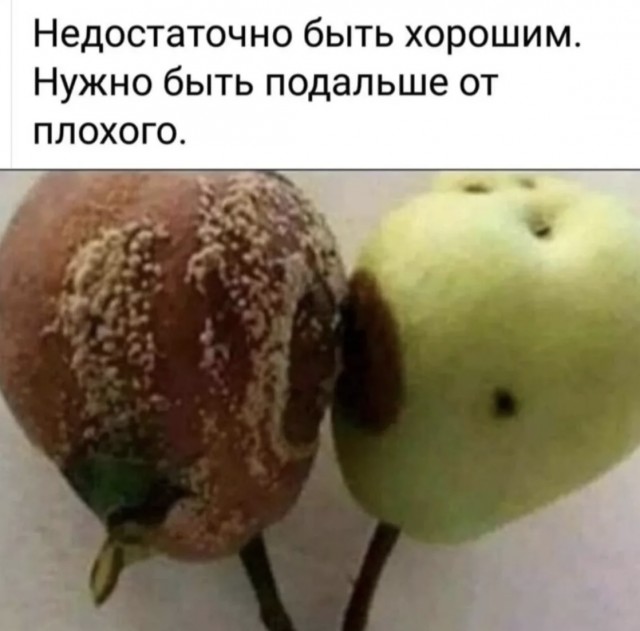 Немного забавных картинок из Архива, есть баяны.