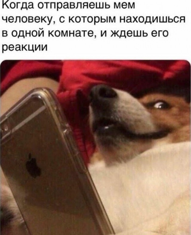 Для настроения
