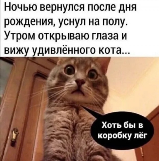 Так себе картинки 07.08.25