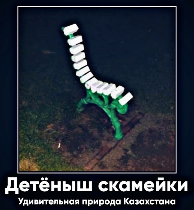 Картинки для деградации 22 ( разной степени свежести)