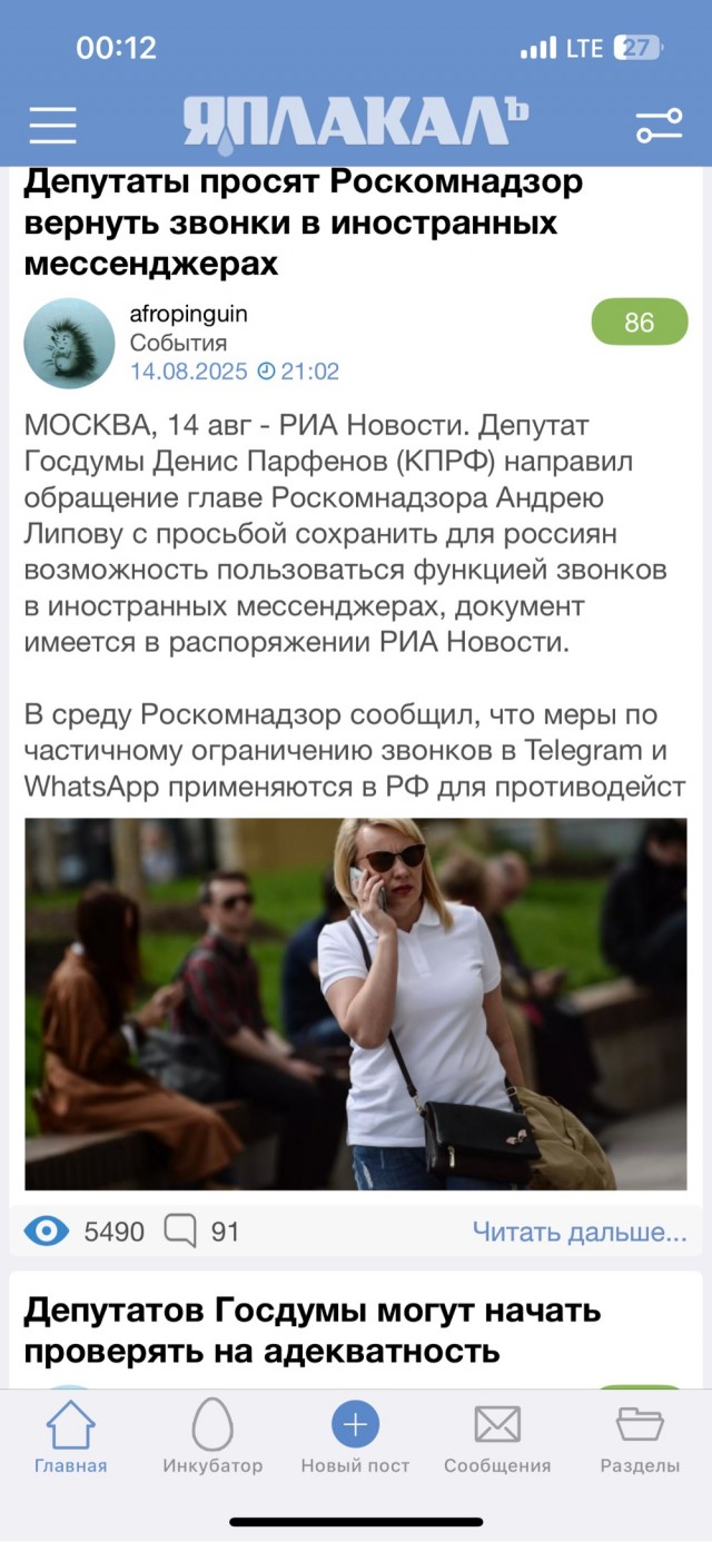 Депутаты просят Роскомнадзор вернуть звонки в иностранных мессенджерах