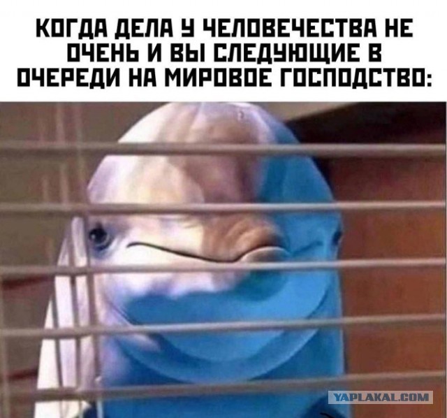 Разной свежести картинки