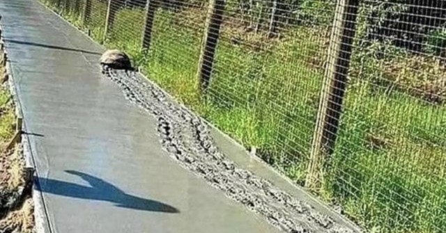 Бетонные дороги в Германии