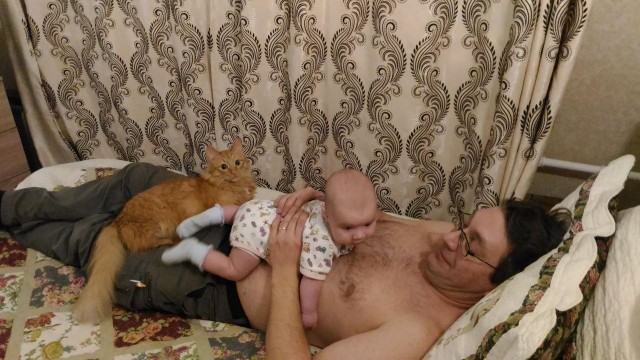 Кот ушел на радугу