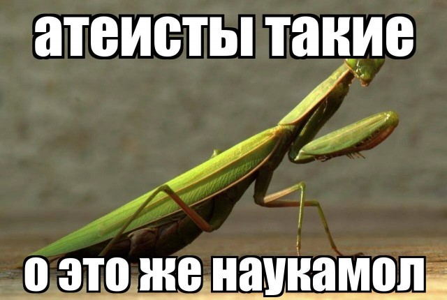 Дегрономикон 9