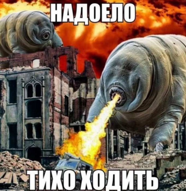 Картинки для деградации 129 (разной степени свежести)