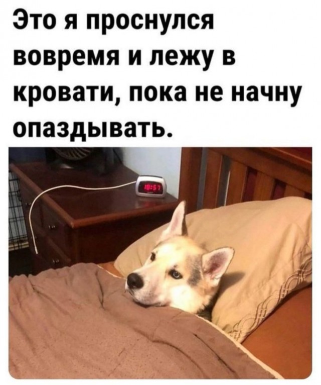 Смешные комментарии из социальных сетей 08.03.2026
