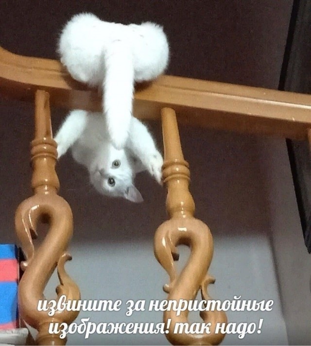 Прикольные и просто красивые картинки 13.03.2026