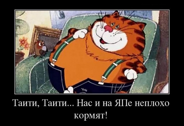 Как переучить кота есть вискас