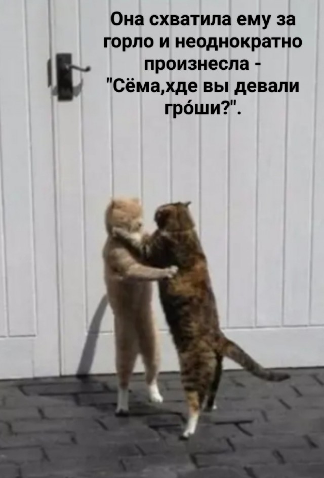 Забавные картинки, шутки из этих ваших интернетов