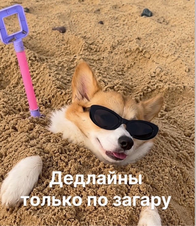 Веселое настроение в картинках 17.08.26