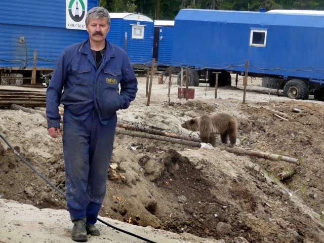 В районе на Алтае, где медведь убил туристку, ликвидировали 12 медведей