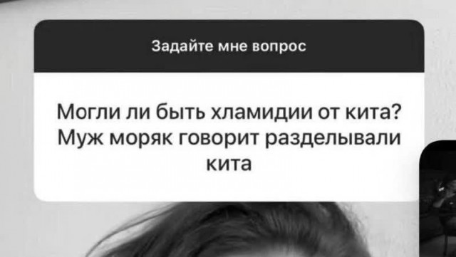 Что едят на крайнем севере?
