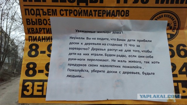 Собачники на стадионах и детских площадках