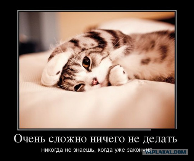 Демотиваторов пост, добавляйте свои