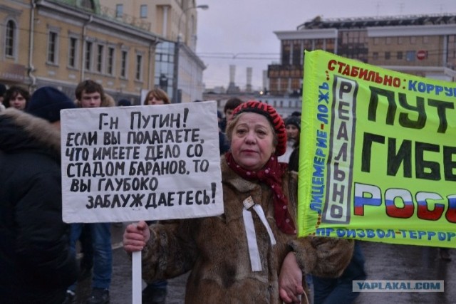 Мои фото с митинга на Болотной, прикольные лозунги