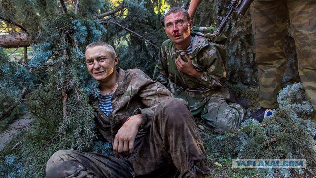 Нардеп Украины заказал «доставку» Рамзана Кадырова