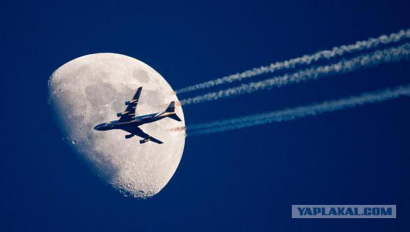 Фотоподборка, никакого фотошопа