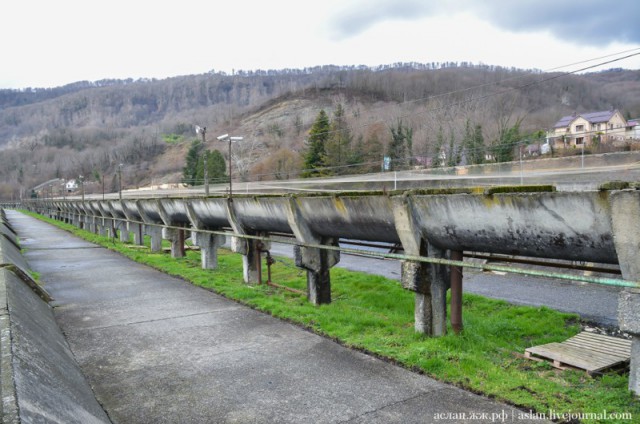 Как выращивают форель в Адлере