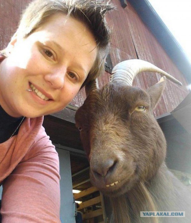 Милость этих фото зашкаливает