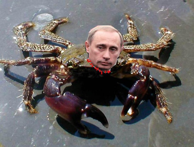 Путин достал две амфоры со дна моря