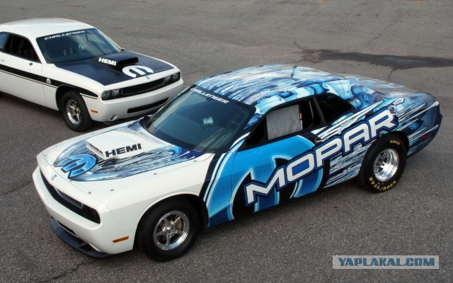 Muscle cars. История сумасшествия