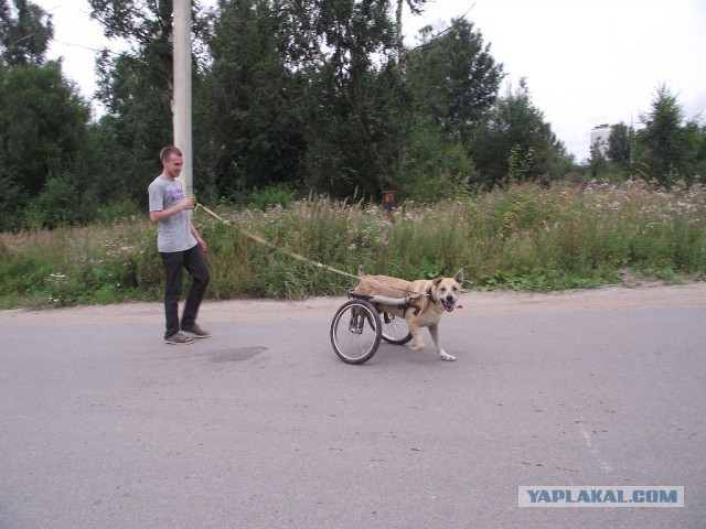 Если Друг, оказался вдруг...