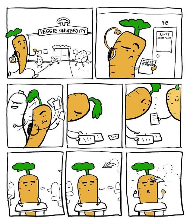 Жизненная история одной морковки