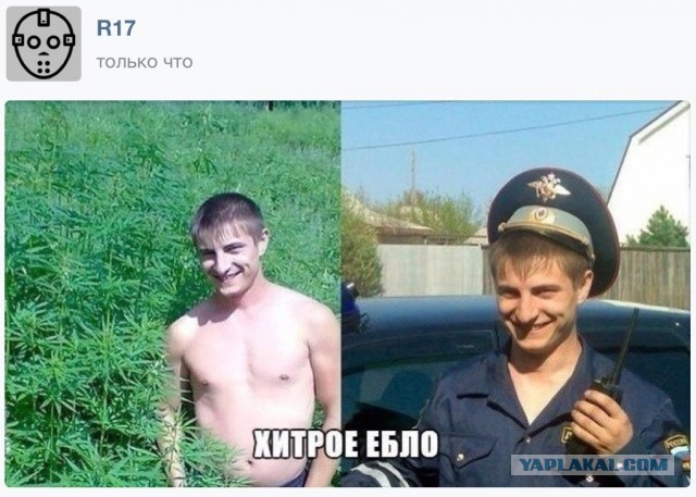 Минутка наркомании на ЯПе