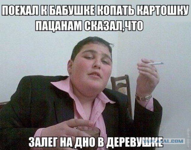 Картинки, фото и др..
