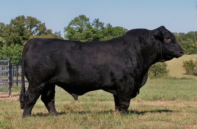 Факты, в которые сложно поверить