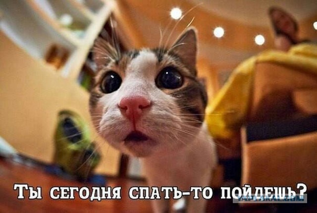 Картинки из сети