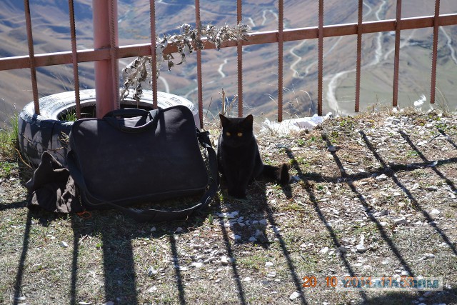 Свежая подборка красивых фото