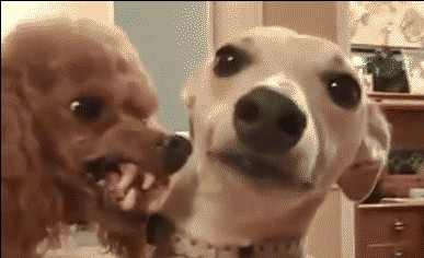 Утро после 8-го Марта