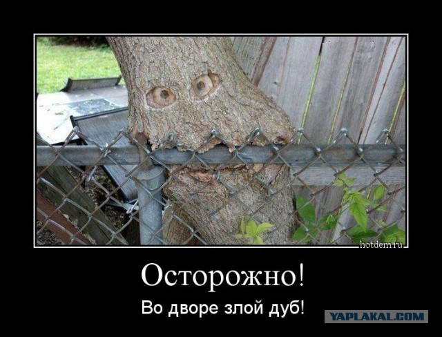 Картинки из сети