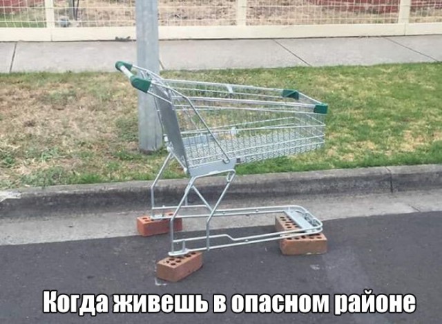 Смешные картинки с надписями