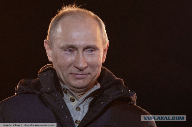 Давидыч заскулил