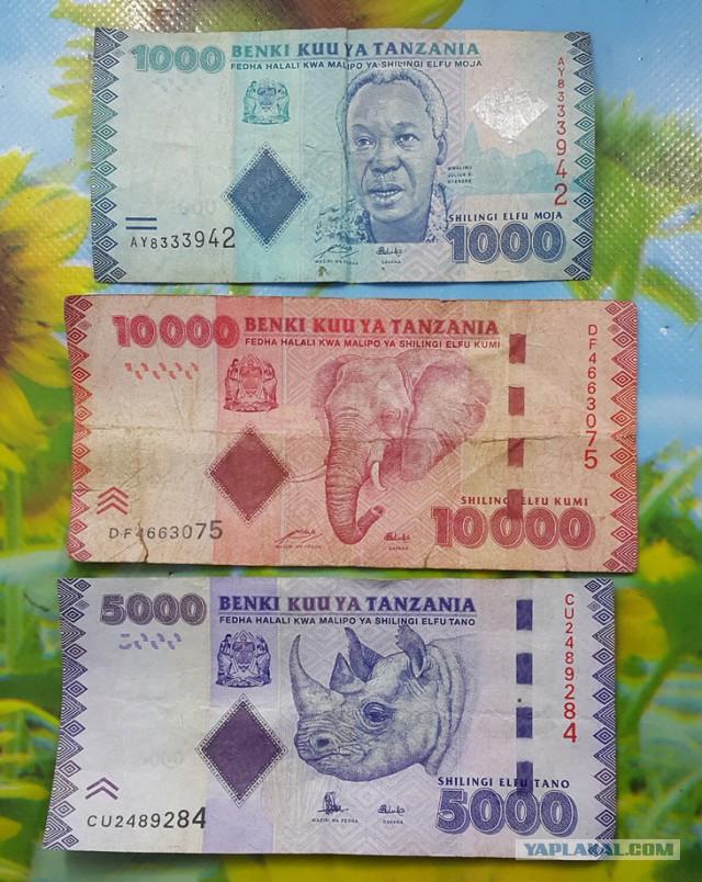 Отпуск в Африке, часть 2